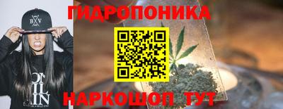 гидра Обнинск