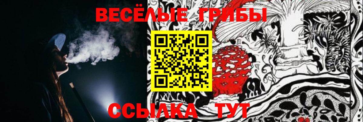 Марихуана  ГАШ  Приморско-Ахтарск  А ПВП СОЛЬ   Меф кристаллы  Кокаин  Вход с VPN 