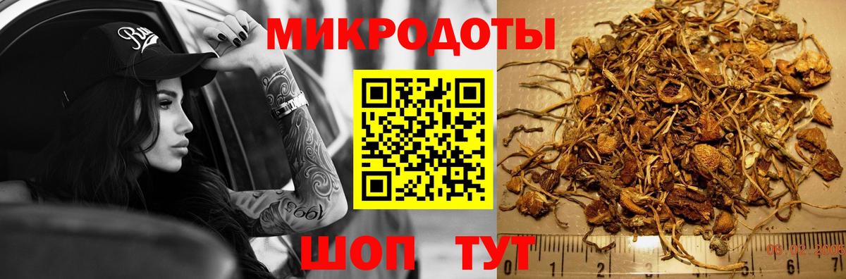 Псилоцибиновые грибы GOLDEN TEACHER  Вход с VPN  цены наркотик  Приморско-Ахтарск 